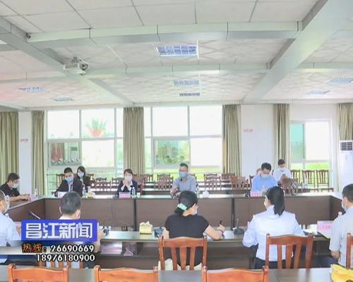 昌江電子商務發展迎來新契機 省商務廳電商處專題調研，聚焦信息咨詢服務升級